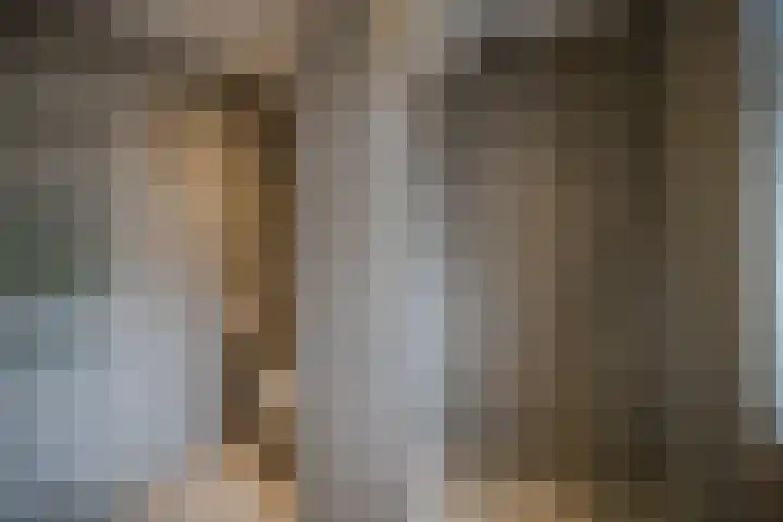 Weefkamer 95 Wierden thumbnail 4