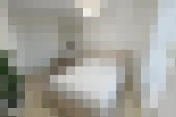 Weefkamer 95 Wierden thumbnail 46