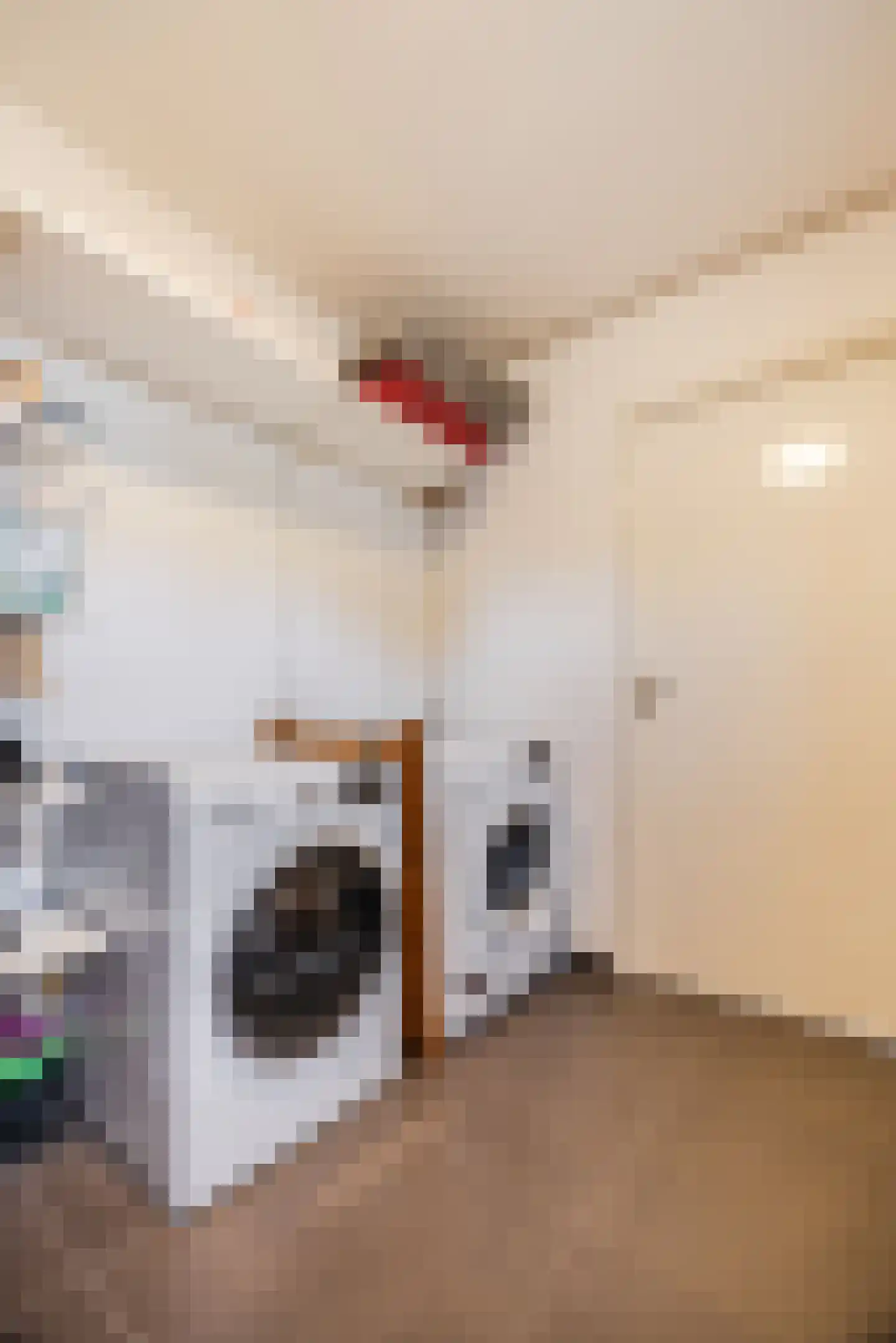 Weefmeesterstraat 16 Tilburg thumbnail 15