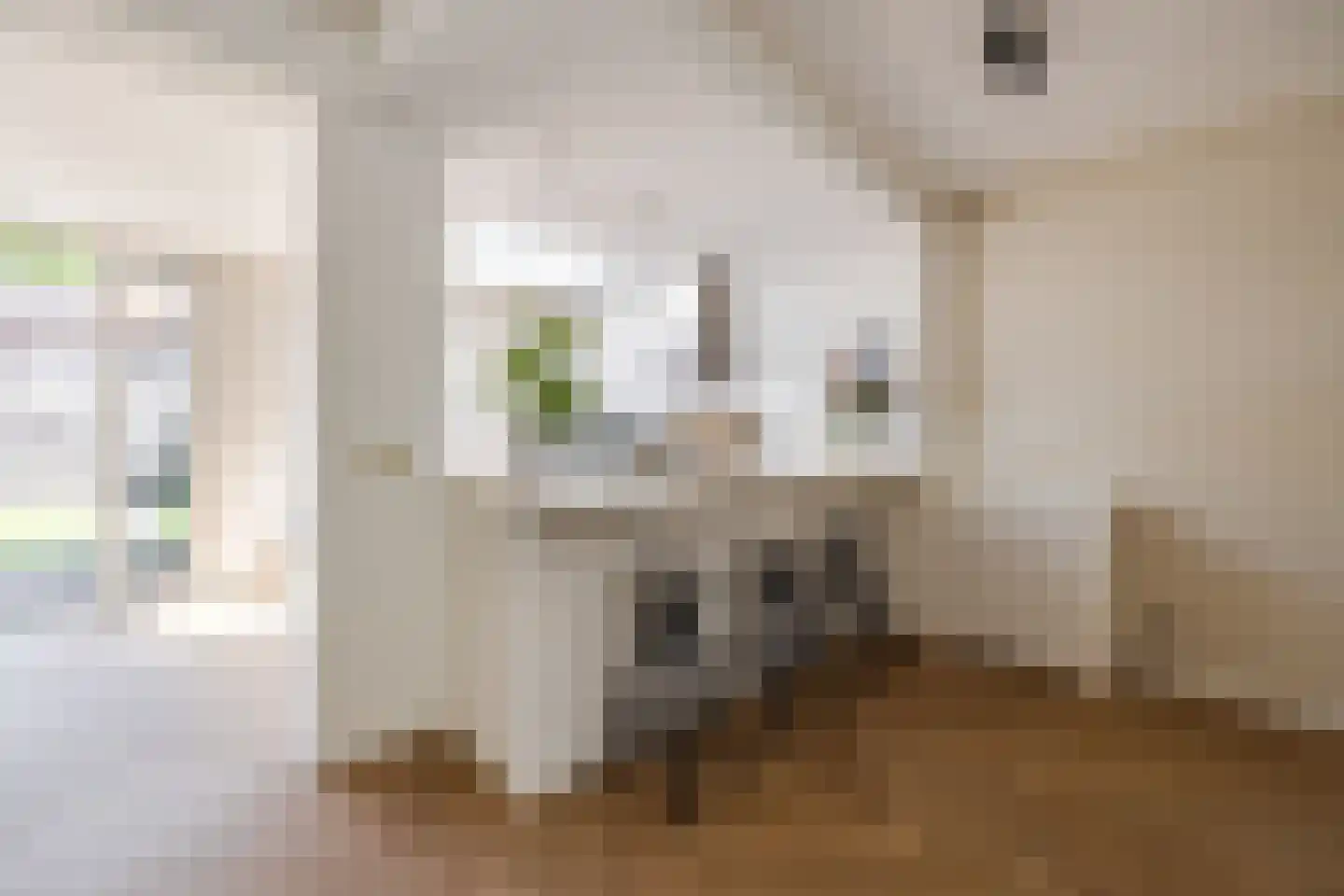 Weefmeesterstraat 16 Tilburg thumbnail 18