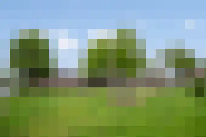 Weefmeesterstraat 16 Tilburg thumbnail 28