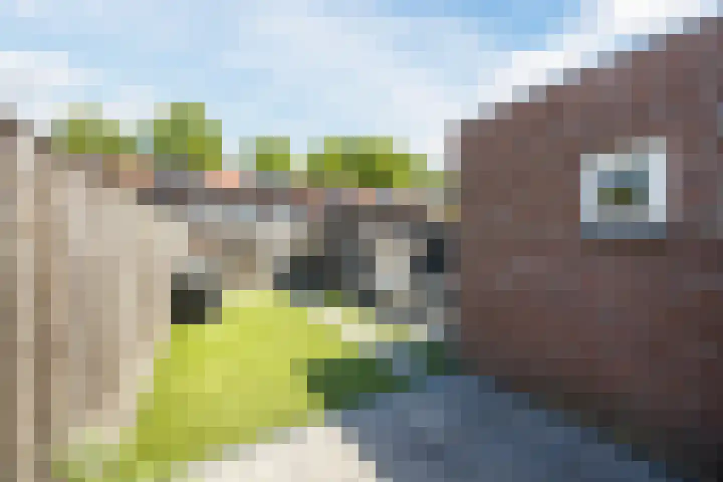 Weefmeesterstraat 16 Tilburg thumbnail 33
