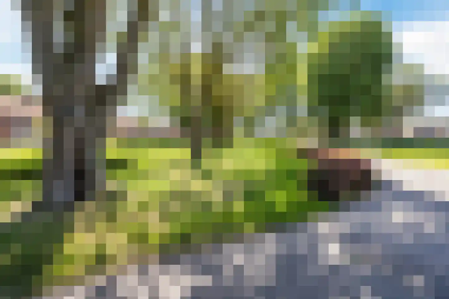 Weefmeesterstraat 16 Tilburg thumbnail 41