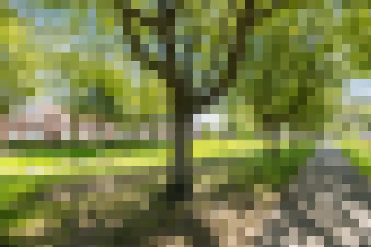 Weefmeesterstraat 16 Tilburg thumbnail 42