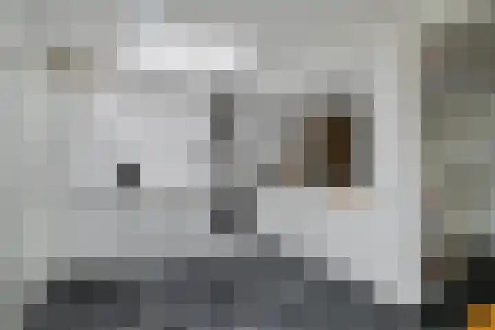 Weefmeesterstraat 16 Tilburg thumbnail 8