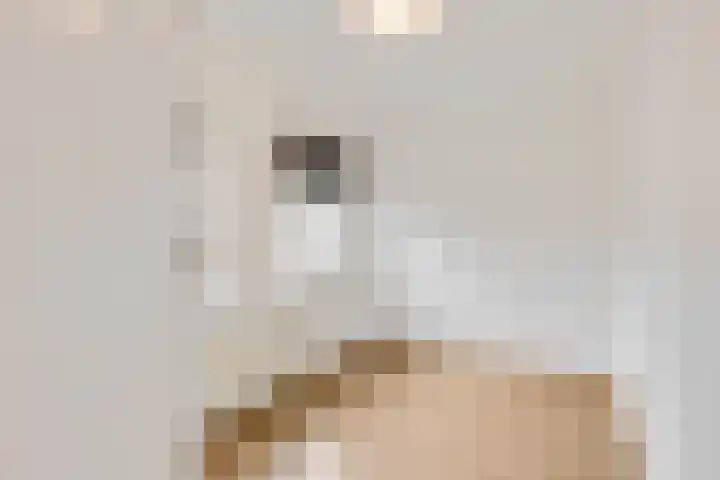 Weefmeesterstraat 32 Tilburg thumbnail 22