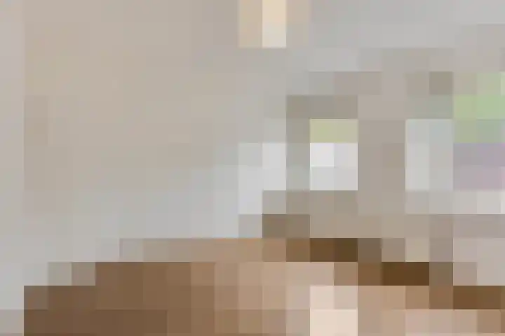 Weefmeesterstraat 32 Tilburg thumbnail 23