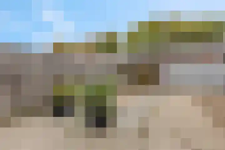 Weefmeesterstraat 32 Tilburg thumbnail 31