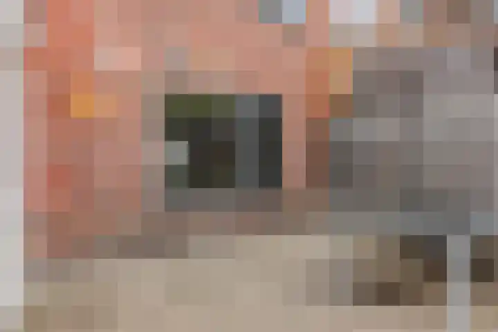 Weefmeesterstraat 32 Tilburg thumbnail 34