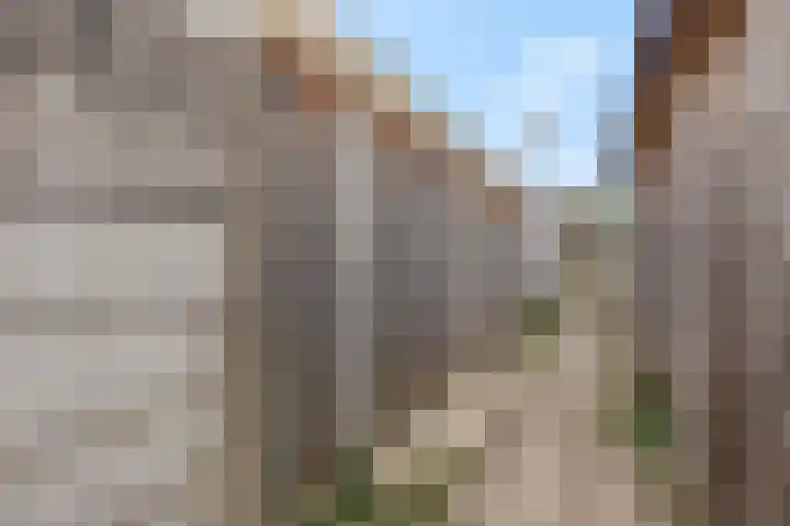 Weefmeesterstraat 32 Tilburg thumbnail 35