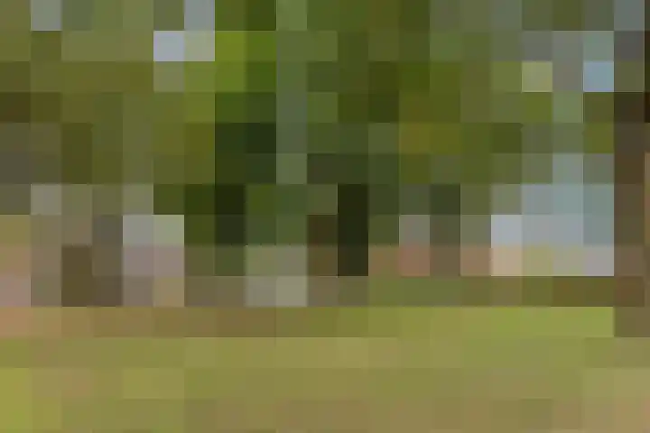 Weefmeesterstraat 32 Tilburg thumbnail 36
