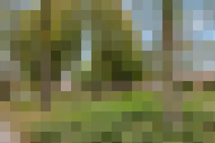 Weefmeesterstraat 32 Tilburg thumbnail 37