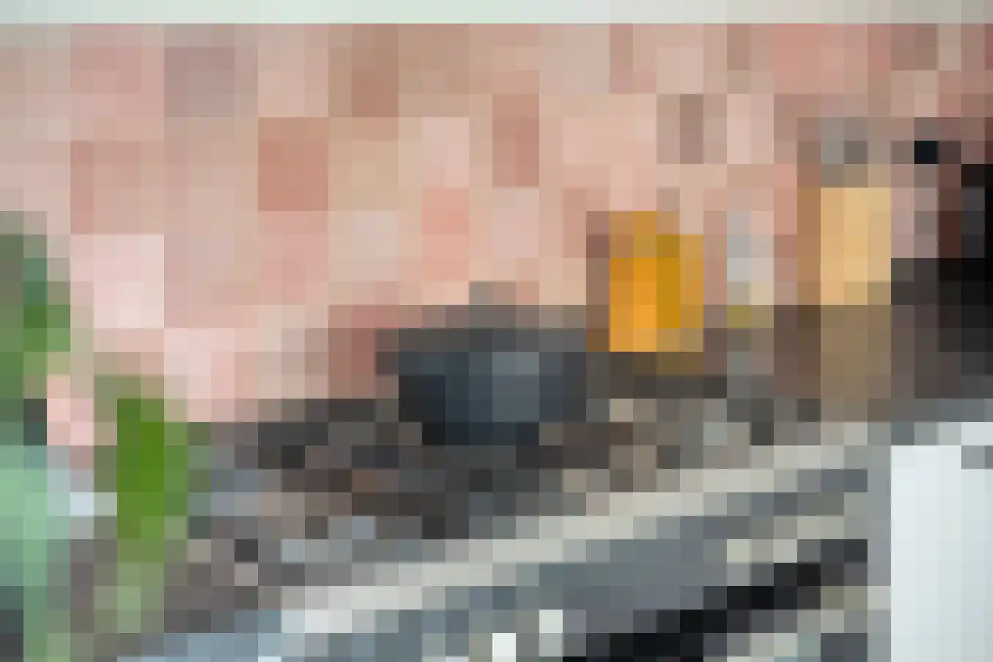 Weefmeesterstraat 9 Tilburg thumbnail 12