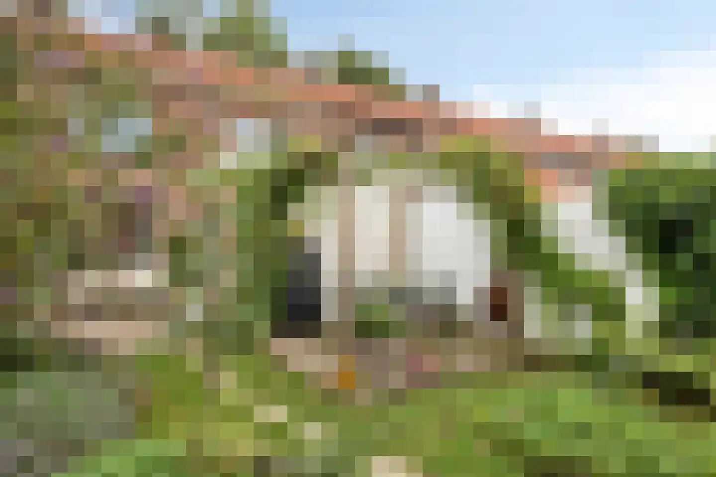 Weefmeesterstraat 9 Tilburg thumbnail 22