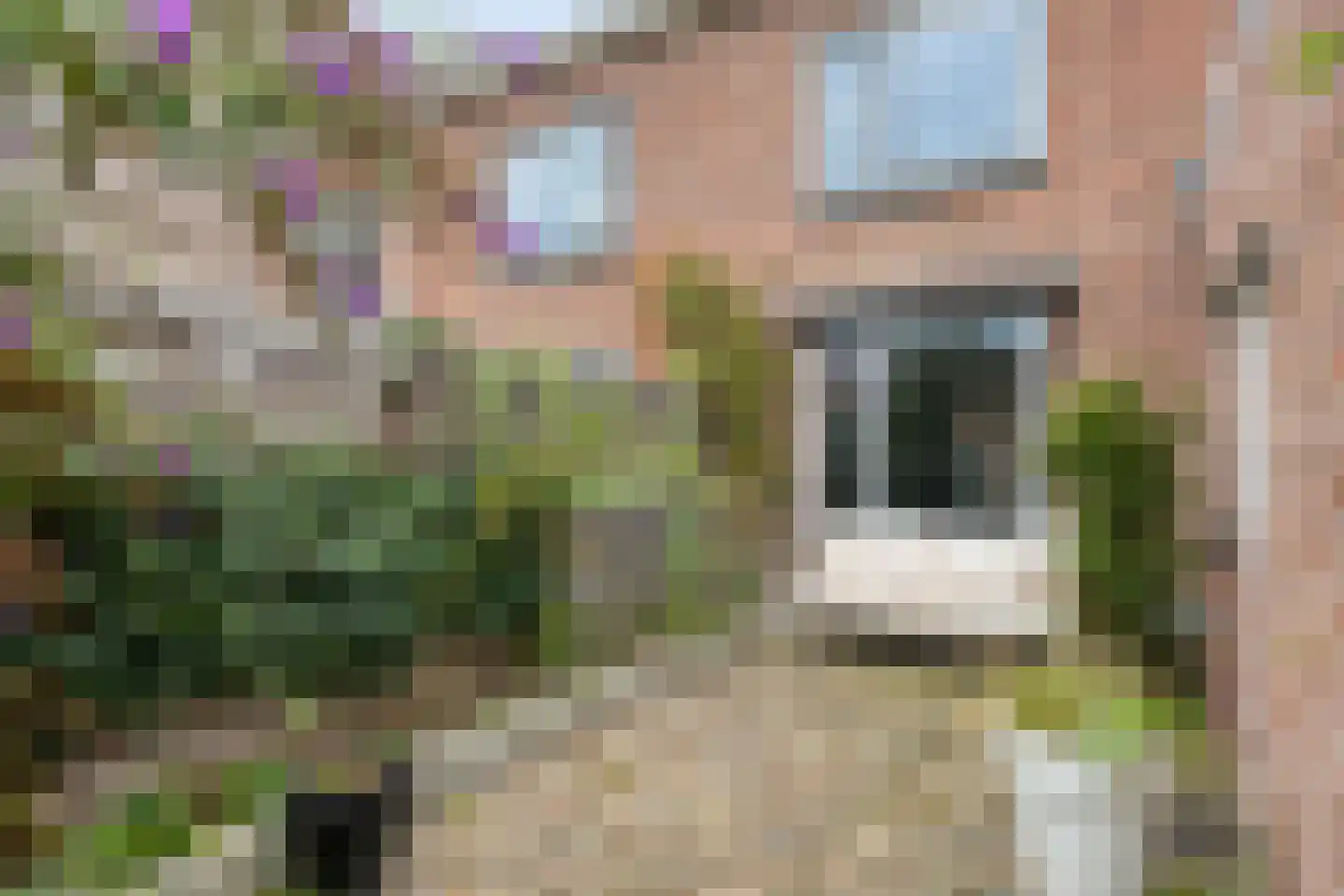 Weefmeesterstraat 9 Tilburg thumbnail 23