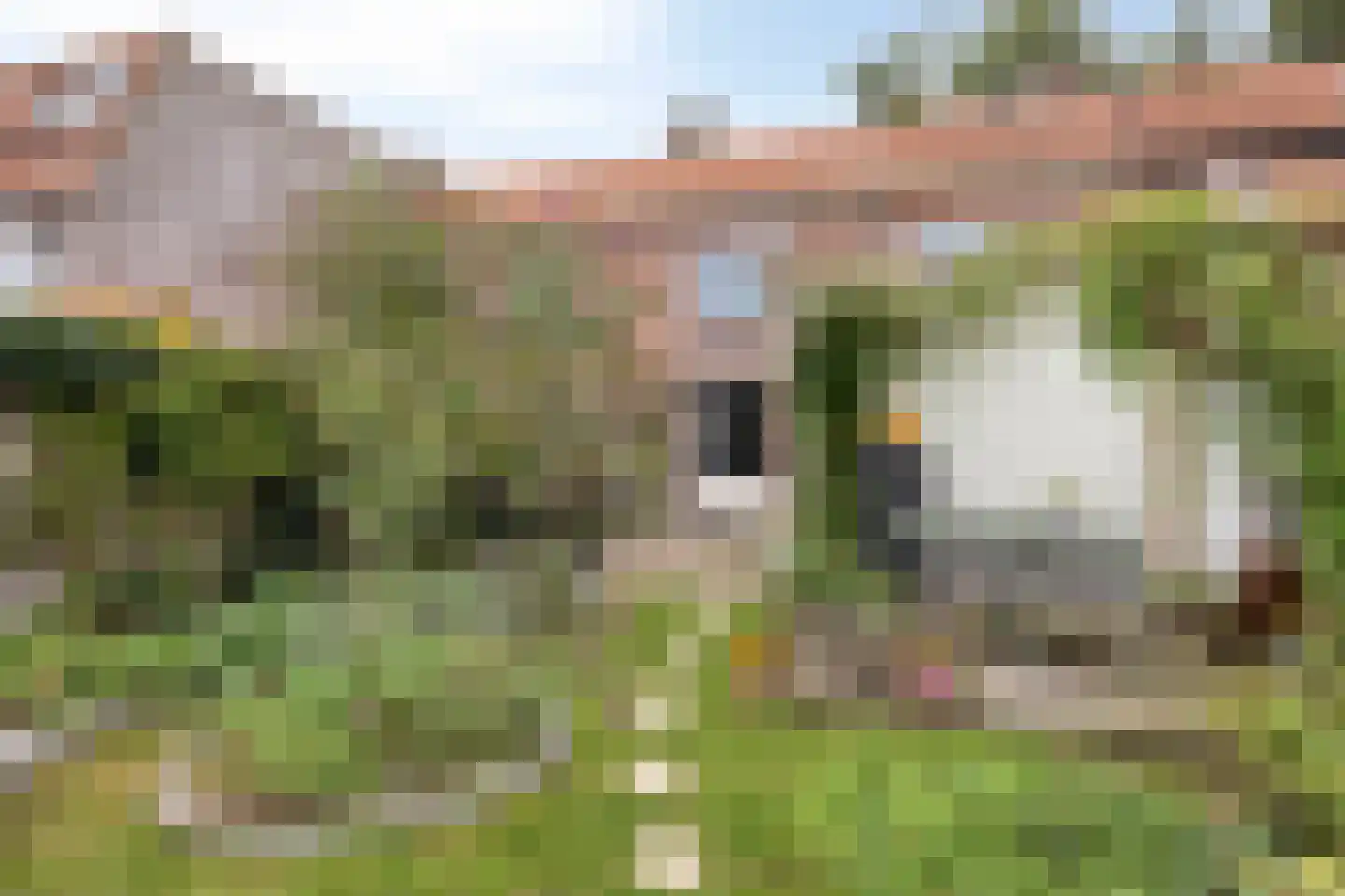 Weefmeesterstraat 9 Tilburg thumbnail 4
