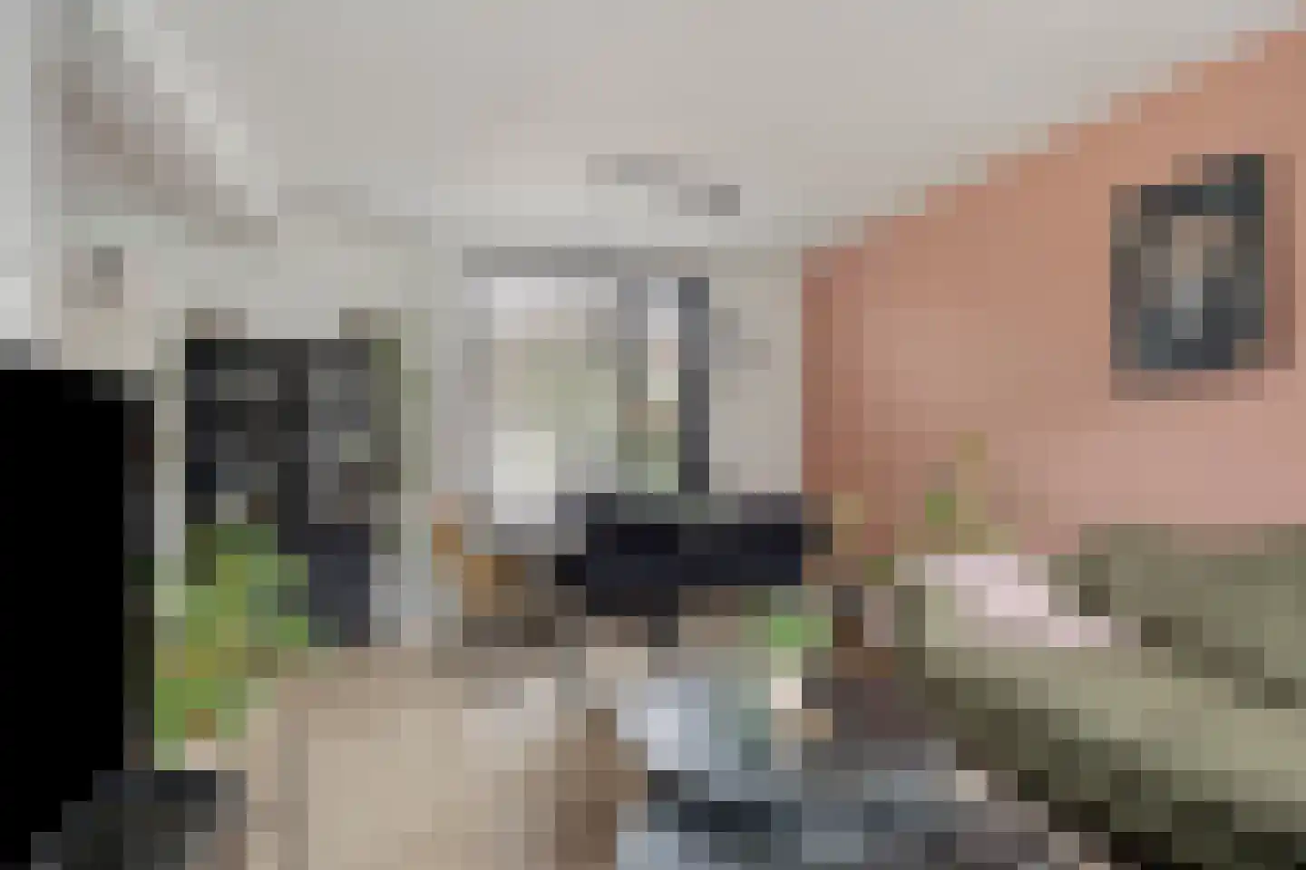 Weefmeesterstraat 9 Tilburg thumbnail 5