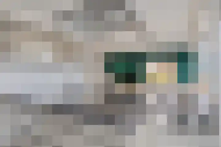 Weefraam 23 Prinsenbeek thumbnail 14
