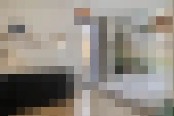 Weefraam 23 Prinsenbeek thumbnail 17