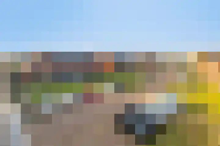 Weefraam 23 Prinsenbeek thumbnail 37