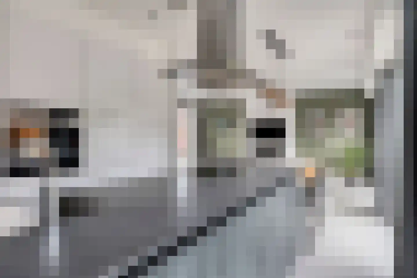 Weefraam 25 Prinsenbeek thumbnail 14