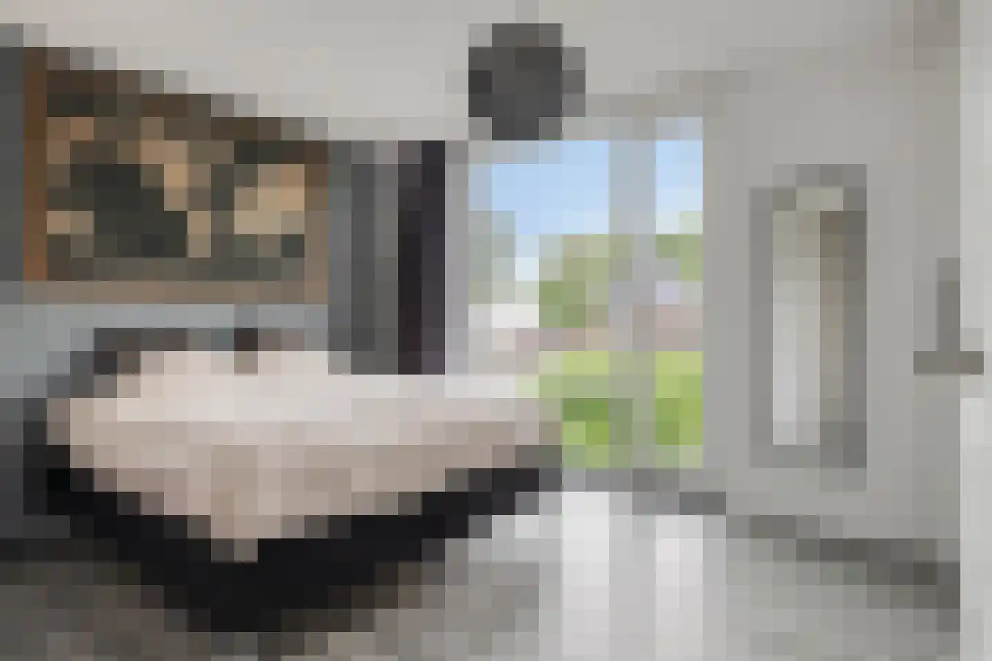 Weefraam 25 Prinsenbeek thumbnail 18