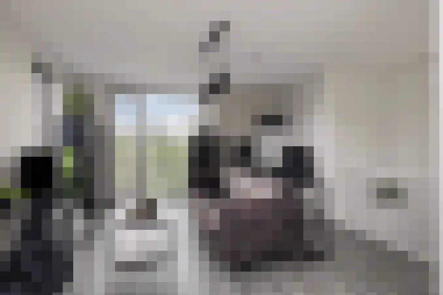 Weefraam 25 Prinsenbeek thumbnail 29
