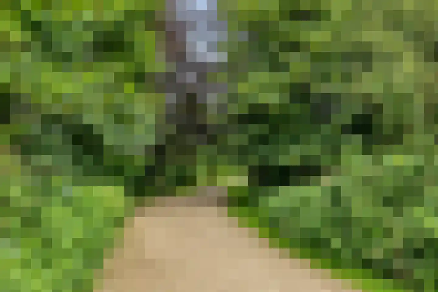 Weefraam 25 Prinsenbeek thumbnail 43