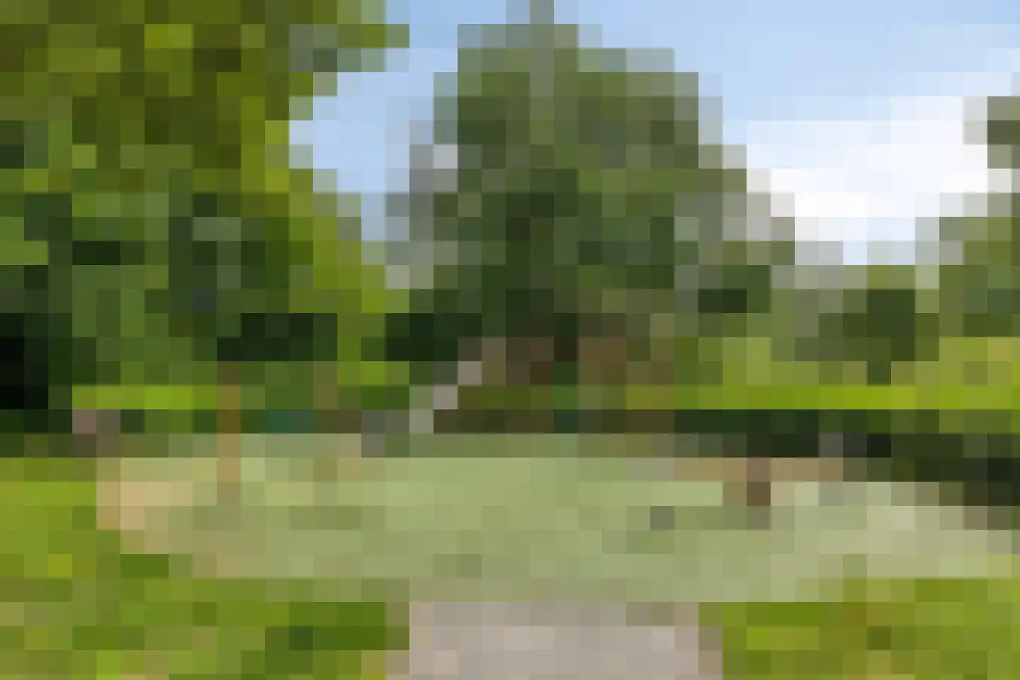 Weefraam 25 Prinsenbeek thumbnail 44