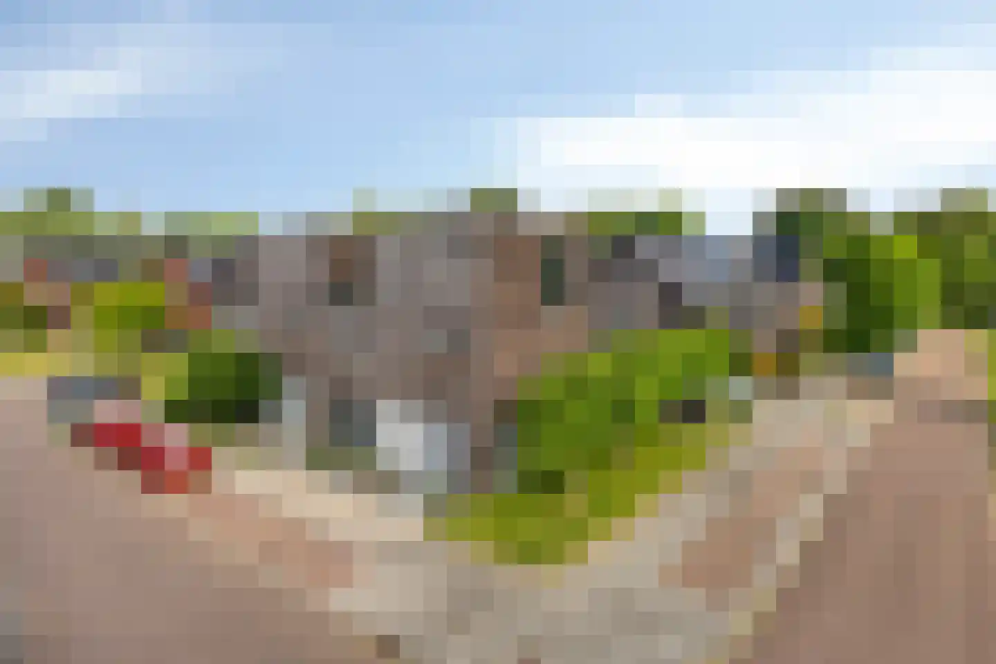 Weefraam 25 Prinsenbeek thumbnail 45