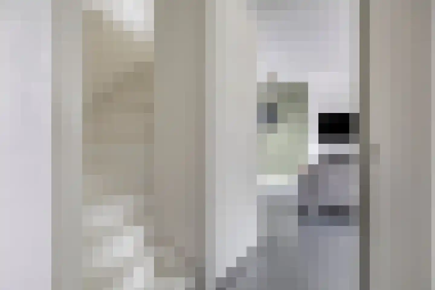 Weefraam 25 Prinsenbeek thumbnail 6