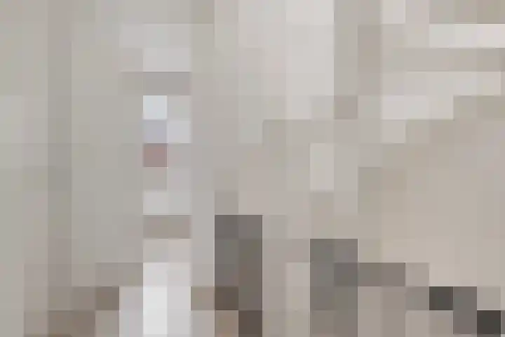Weefraam 3 Prinsenbeek thumbnail 13