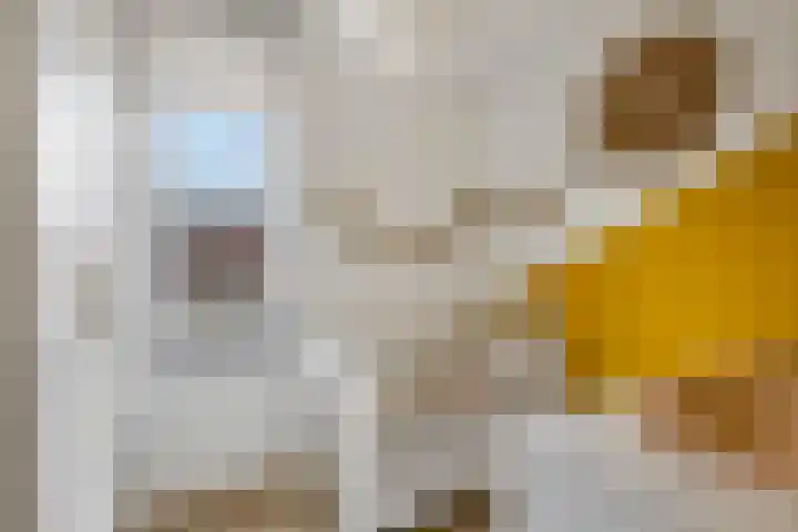 Weefraam 3 Prinsenbeek thumbnail 18