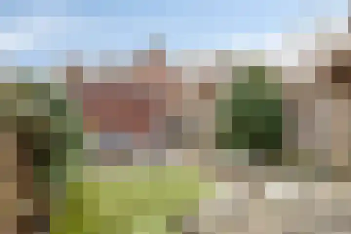 Weefraam 3 Prinsenbeek thumbnail 26