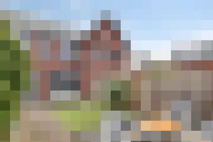 Weefraam 3 Prinsenbeek thumbnail 4