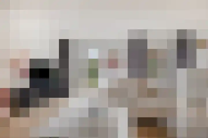 Weefraam 3 Prinsenbeek thumbnail 7