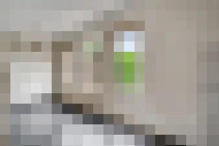 Weefsterstraat 17 Roermond thumbnail 10