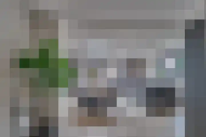 Weefsterstraat 9 Roermond thumbnail 12