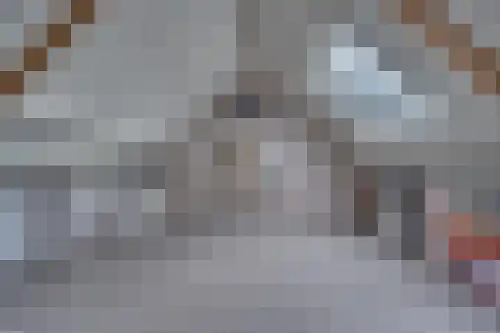 Weefsterstraat 9 Roermond thumbnail 36