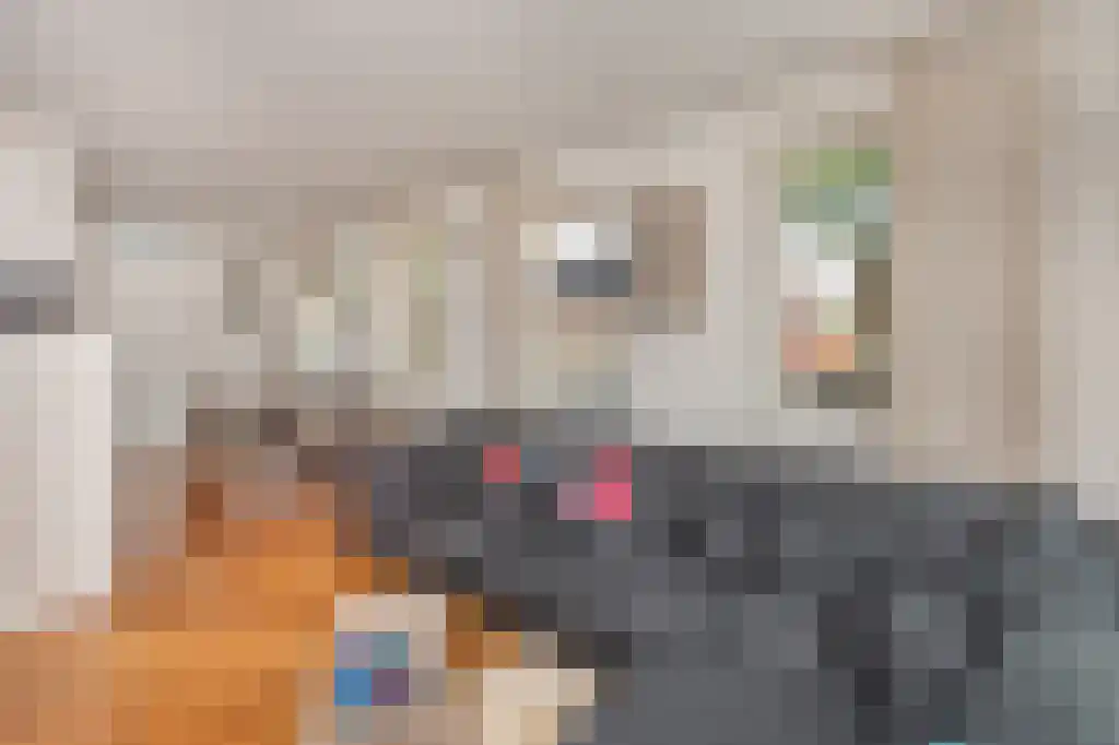 Weegakker 1 a Ermelo thumbnail 11