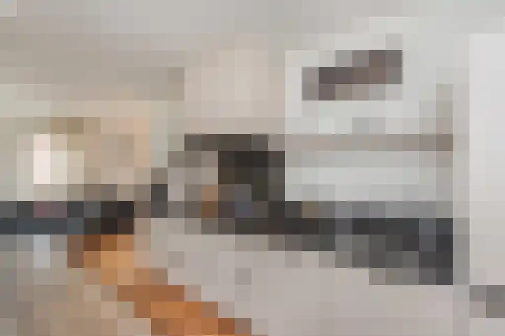 Weegakker 1 a Ermelo thumbnail 12