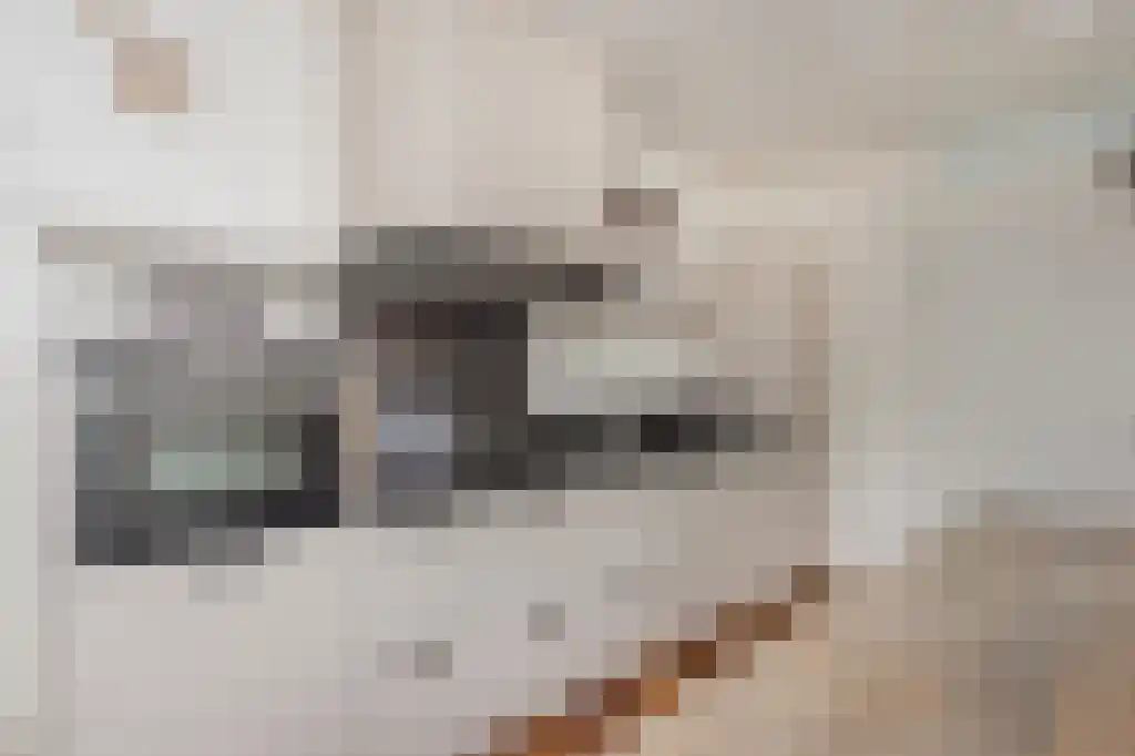 Weegakker 1 a Ermelo thumbnail 4