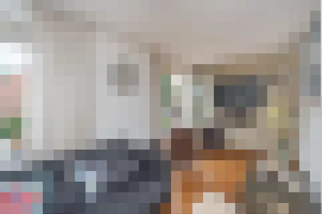 Weegakker 1 a Ermelo thumbnail 8