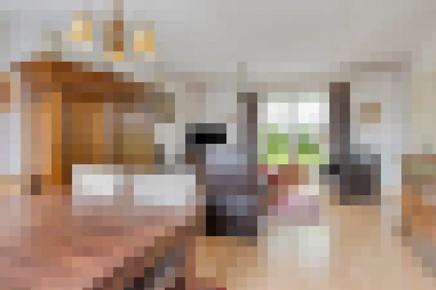 Weegbree 10 Zeeland thumbnail 11