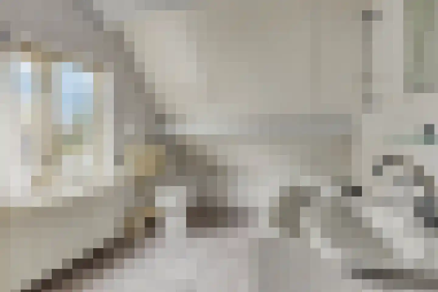 Weegbree 10 Zeeland thumbnail 27