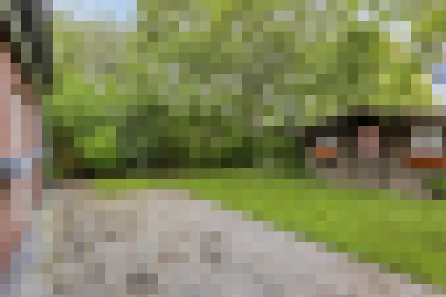 Weegbree 10 Zeeland thumbnail 31