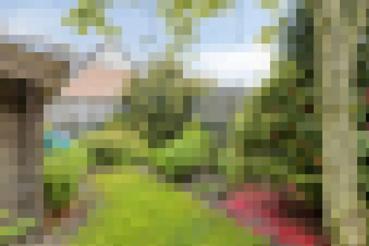 Weegbree 10 Zeeland thumbnail 34