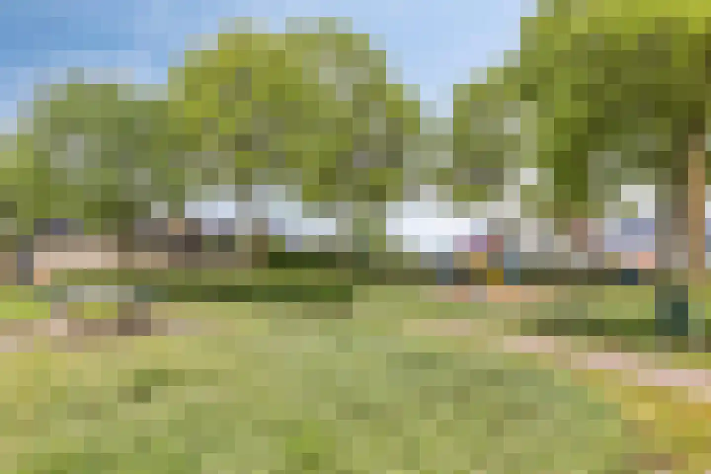 Weegbree 10 Zeeland thumbnail 39