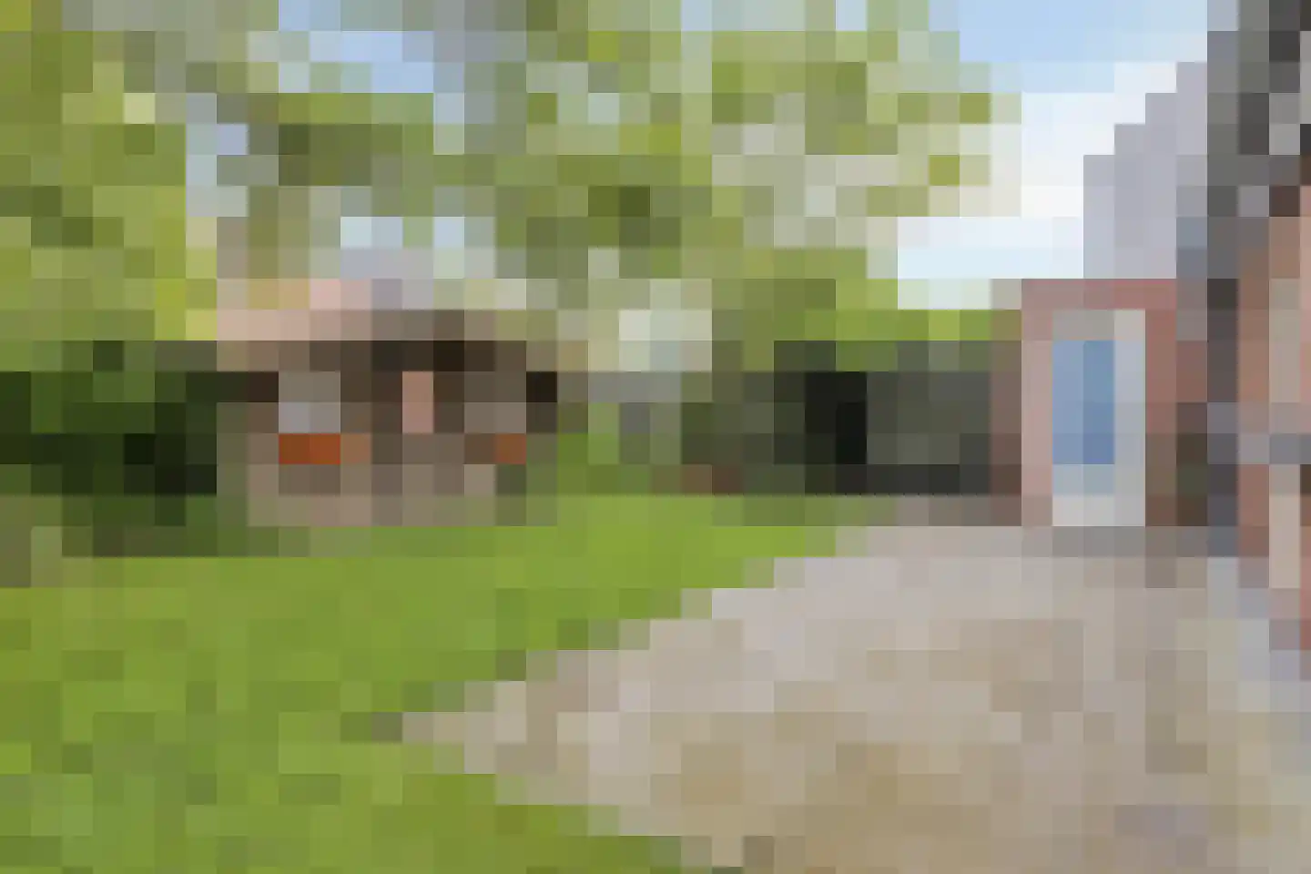 Weegbree 10 Zeeland thumbnail 4