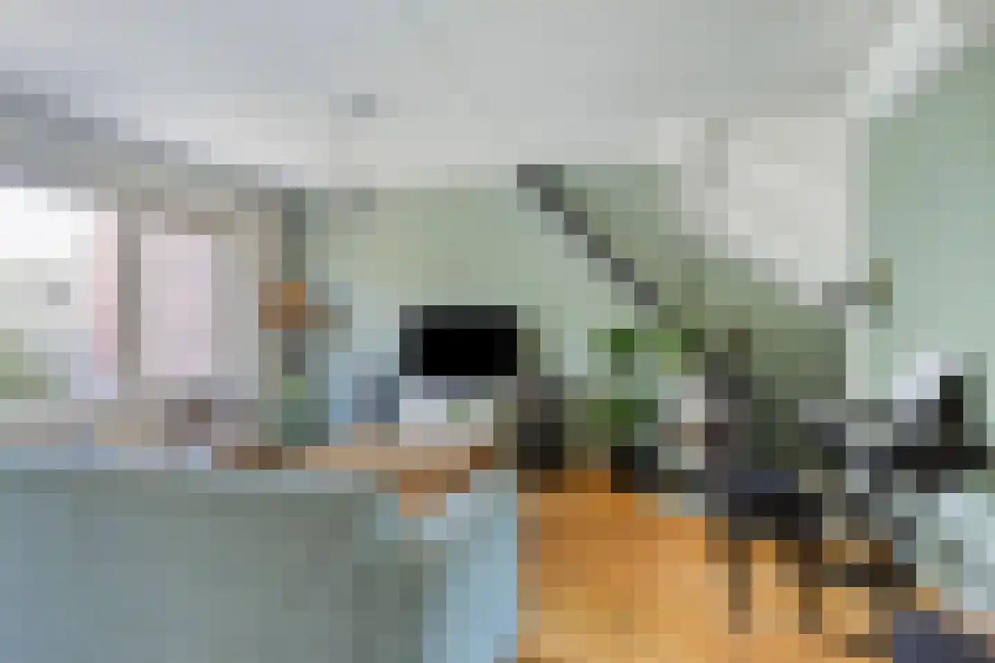 Weegbree 102 Best thumbnail 13
